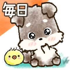 [LINEスタンプ] 愛犬家のわんこ♡シュナウザー【毎日】