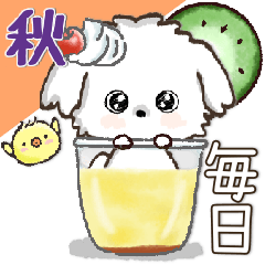 [LINEスタンプ] 愛犬家さんのわんこ♡マルチーズ【挨拶】