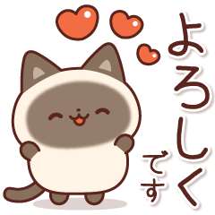 [LINEスタンプ] 飛び出す！毎日使えるシャム猫スタンプ 3