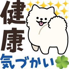 [LINEスタンプ] 健康気づかいサモエド犬